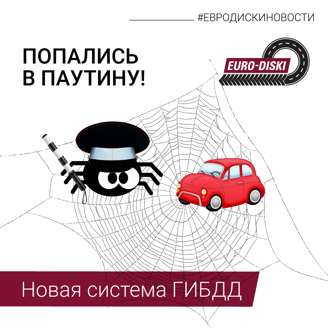 ПОПАЛИСЬ В ПАУТИНУ!