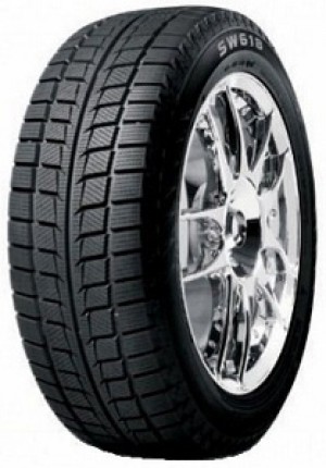 205/55 R16 Goodride SW618 91H