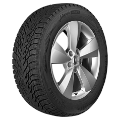 Зимние шины 225/55 R17 Ikon Autograph Snow 3 101R XL