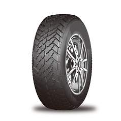Шины Roadmarch Primemaster M/T I