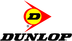 Шины Dunlop VAN01